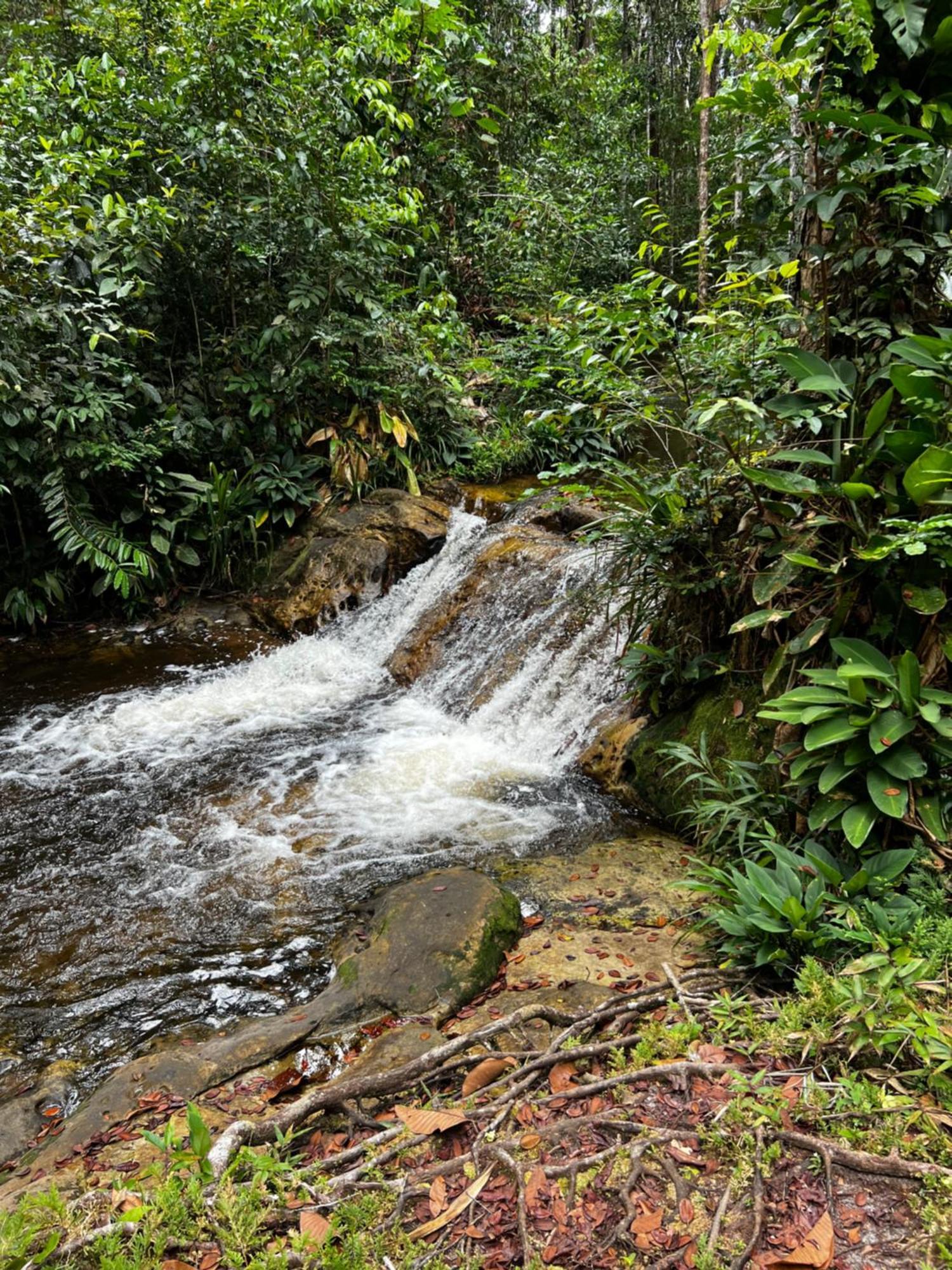 Pousada Paraiso Do Calango Azul Presidente Figueiredo Exterior photo