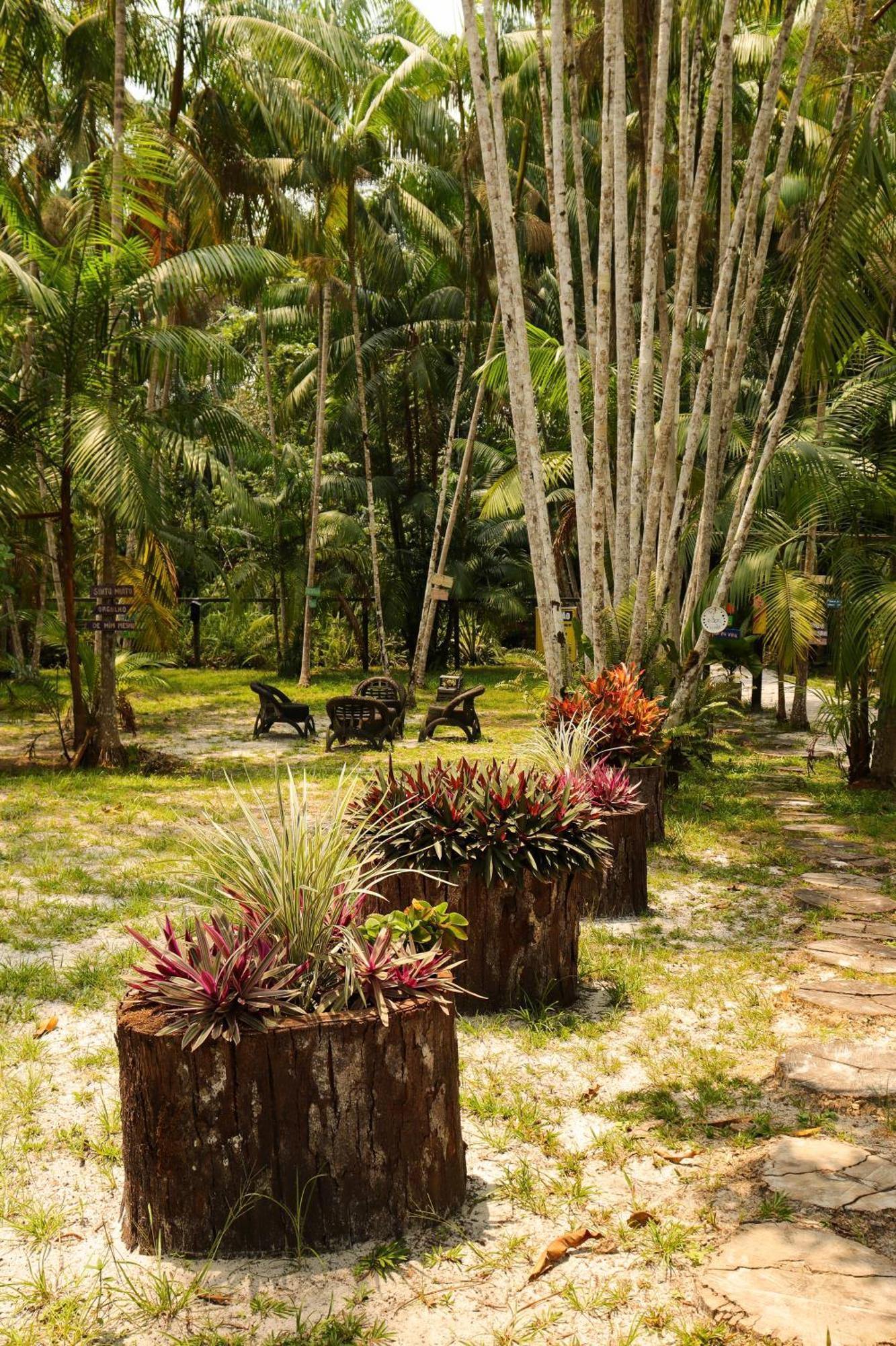 Pousada Paraiso Do Calango Azul Presidente Figueiredo Exterior photo